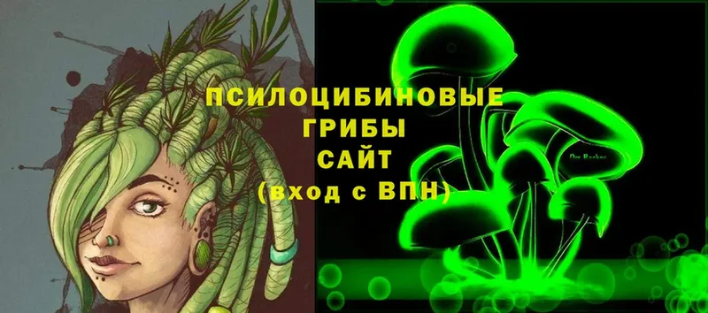 Галлюциногенные грибы Psilocybe  даркнет сайт  Верхняя Пышма 